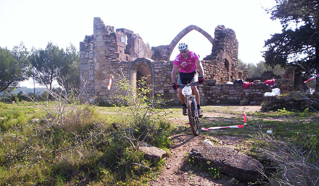 VTT